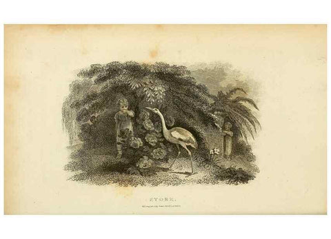 Reproducción/Reproduction 49830872951: General zoology, or Systematic natural history. London,Printed for G. Kearsley,1800-1826.. 