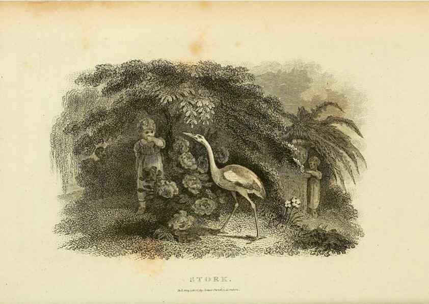 Reproducción/Reproduction 49830872951: General zoology, or Systematic natural history. London,Printed for G. Kearsley,1800-1826.. 