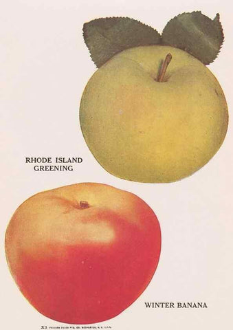 Reproducción/Reproduction 49831531727: Descriptive plate-book. Newark, N.Y. :Knight & Bostwick,[19--]. 