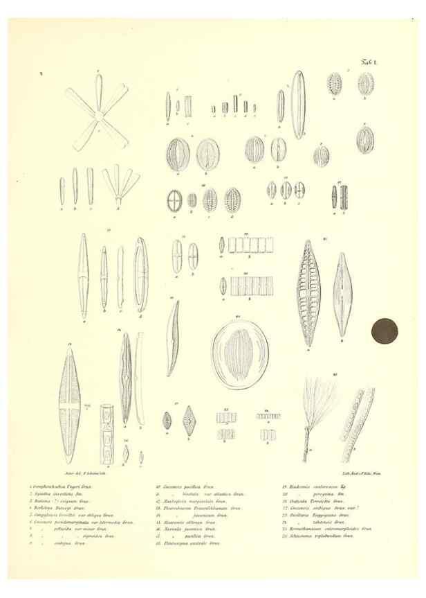 Reproducción/Reproduction 49830686758: Reise der österreichischen Fregatte Novara. Wien,Kaiserlich-K1861-75.. 