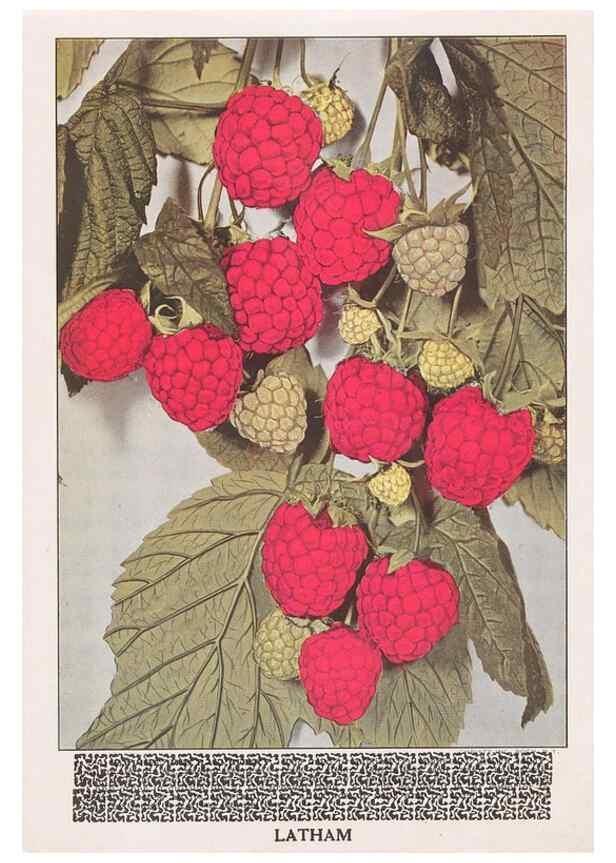 Reproducción/Reproduction 49831545832: Descriptive plate-book. Newark, N.Y. :Knight & Bostwick,[19--]. 