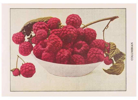 Reproducción/Reproduction 49831238041: Descriptive plate-book. Newark, N.Y. :Knight & Bostwick,[19--]. 