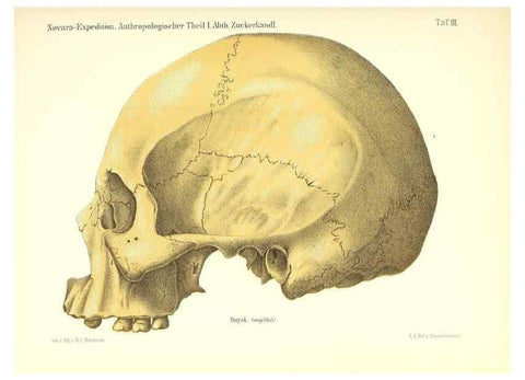 Reproducción/Reproduction 49831125101: Reise der österreichischen Fregatte Novara. Wien,Kaiserlich-K1861-75.. 