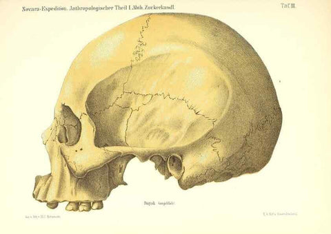 Reproducción/Reproduction 49831125101: Reise der österreichischen Fregatte Novara. Wien,Kaiserlich-K1861-75.. 