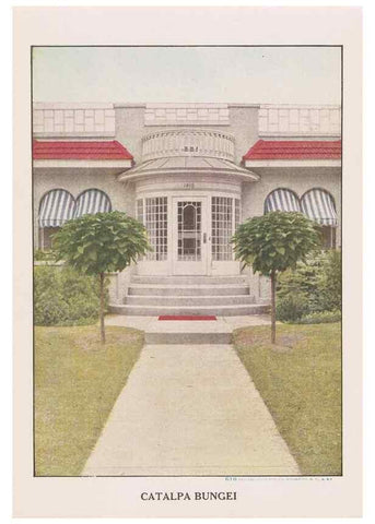 Reproducción/Reproduction 49830680233: Descriptive plate-book. Newark, N.Y. :Knight & Bostwick,[19--]. 