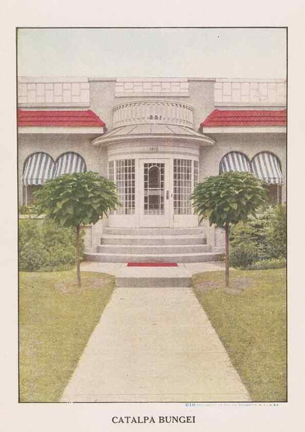 Reproducción/Reproduction 49830680233: Descriptive plate-book. Newark, N.Y. :Knight & Bostwick,[19--]. 