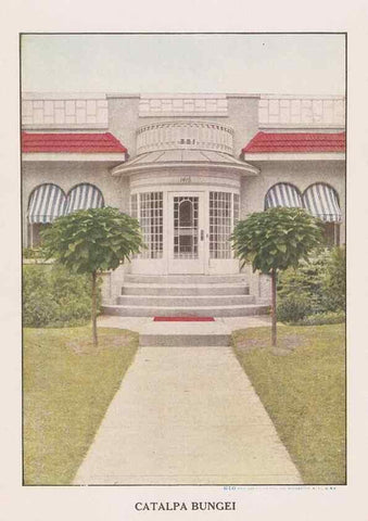 Reproducción/Reproduction 49830680233: Descriptive plate-book. Newark, N.Y. :Knight & Bostwick,[19--]. 