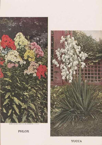 Reproducción/Reproduction 49831175171: Descriptive plate-book. Newark, N.Y. :Knight & Bostwick,[19--]. 