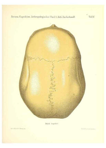 Reproducción/Reproduction 49830591663: Reise der österreichischen Fregatte Novara. Wien,Kaiserlich-K1861-75.. 