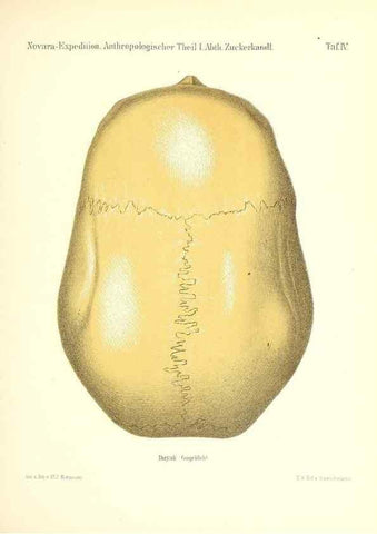 Reproducción/Reproduction 49830591663: Reise der österreichischen Fregatte Novara. Wien,Kaiserlich-K1861-75.. 