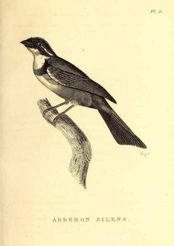 Reproducción/Reproduction 49831125611: General zoology, or Systematic natural history. London,Printed for G. Kearsley,1800-1826.. 