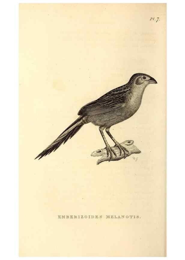 Reproducción/Reproduction 49831434337: General zoology, or Systematic natural history. London,Printed for G. Kearsley,1800-1826.. 