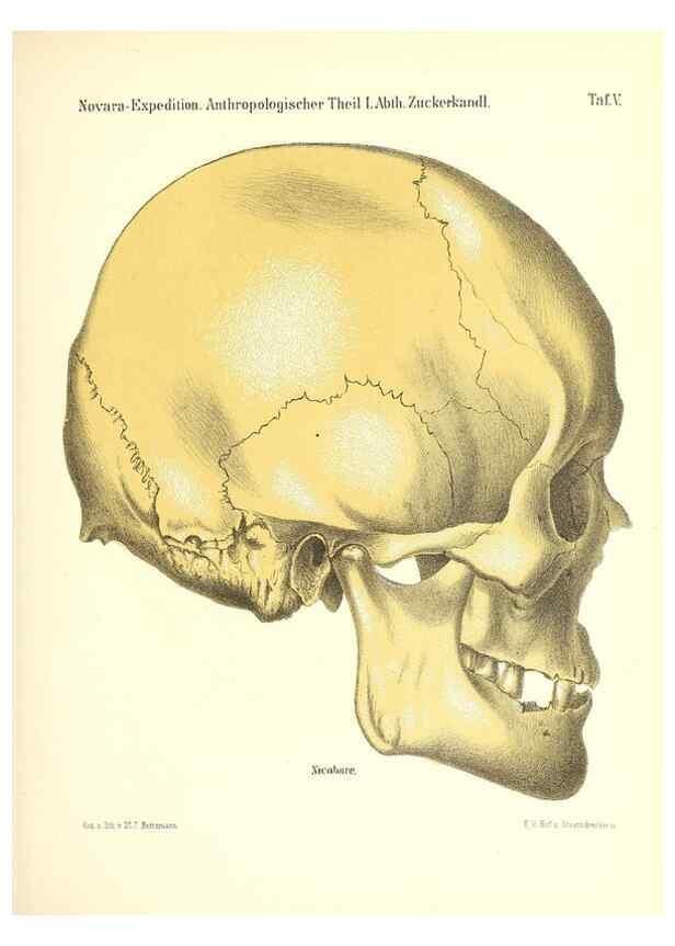 Reproducción/Reproduction 49831434347: Reise der österreichischen Fregatte Novara. Wien,Kaiserlich-K1861-75.. 