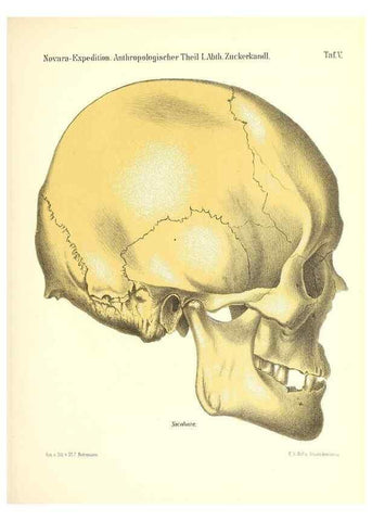Reproducción/Reproduction 49831434347: Reise der österreichischen Fregatte Novara. Wien,Kaiserlich-K1861-75.. 