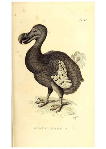Reproducción/Reproduction 49831160956: General zoology, or Systematic natural history. London,Printed for G. Kearsley,1800-1826.. 