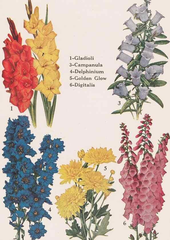 Reproducción/Reproduction 49831481387: Descriptive plate-book. Newark, N.Y. :Knight & Bostwick,[19--]. 