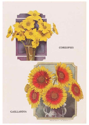 Reproducción/Reproduction 49831172991: Descriptive plate-book. Newark, N.Y. :Knight & Bostwick,[19--]. 