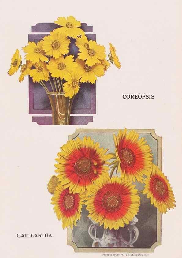 Reproducción/Reproduction 49831172991: Descriptive plate-book. Newark, N.Y. :Knight & Bostwick,[19--]. 
