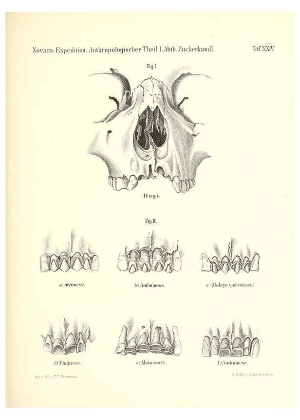 Reproducción/Reproduction 49831173831: Reise der österreichischen Fregatte Novara. Wien,Kaiserlich-K1861-75.. 