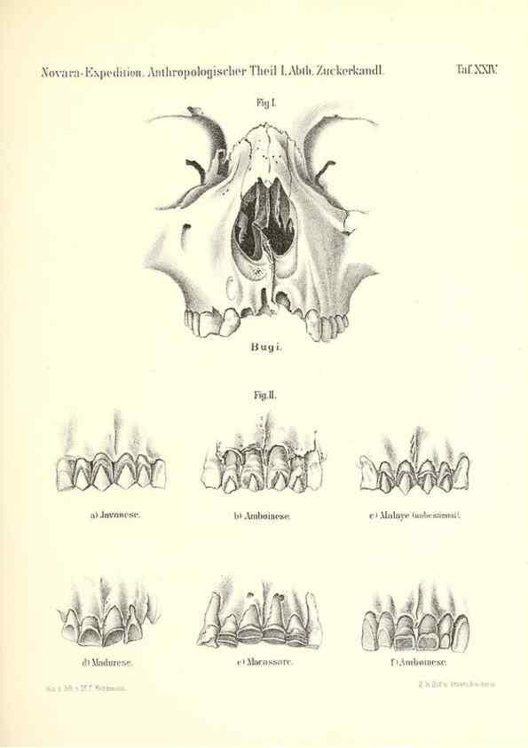 Reproducción/Reproduction 49831173831: Reise der österreichischen Fregatte Novara. Wien,Kaiserlich-K1861-75.. 