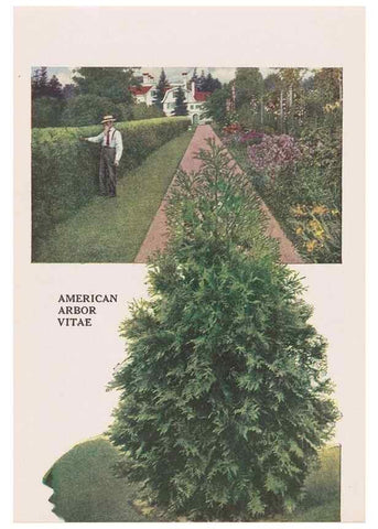 Reproducción/Reproduction 49831201201: Descriptive plate-book. Newark, N.Y. :Knight & Bostwick,[19--]. 
