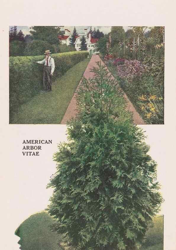 Reproducción/Reproduction 49831201201: Descriptive plate-book. Newark, N.Y. :Knight & Bostwick,[19--]. 
