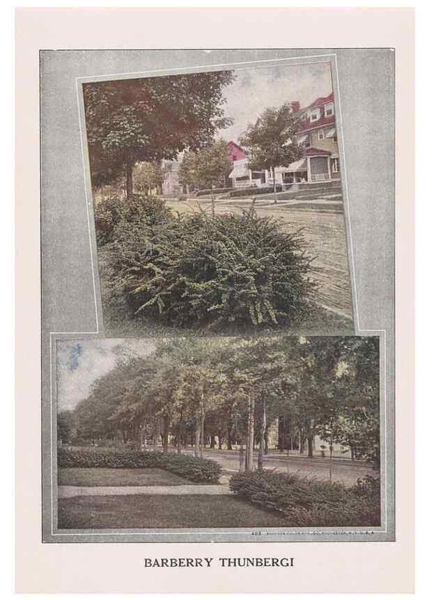 Reproducción/Reproduction 49831200241: Descriptive plate-book. Newark, N.Y. :Knight & Bostwick,[19--]. 