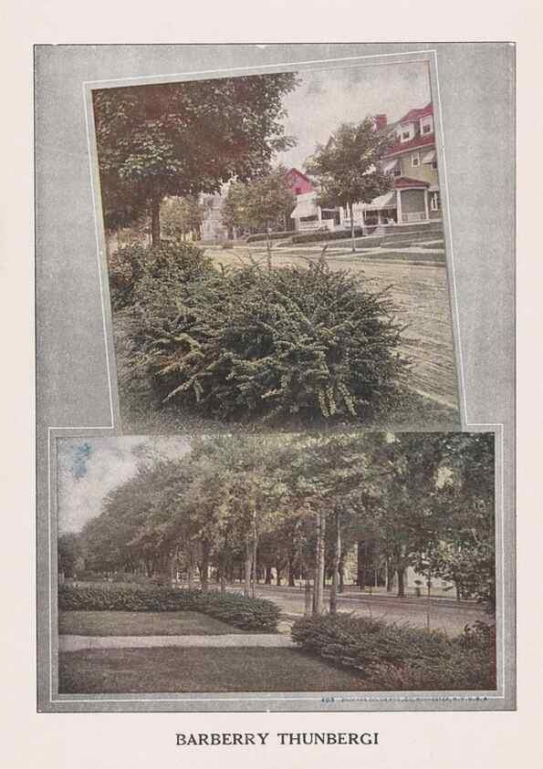 Reproducción/Reproduction 49831200241: Descriptive plate-book. Newark, N.Y. :Knight & Bostwick,[19--]. 