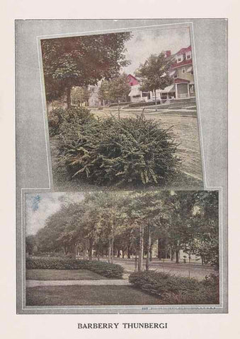 Reproducción/Reproduction 49831200241: Descriptive plate-book. Newark, N.Y. :Knight & Bostwick,[19--]. 
