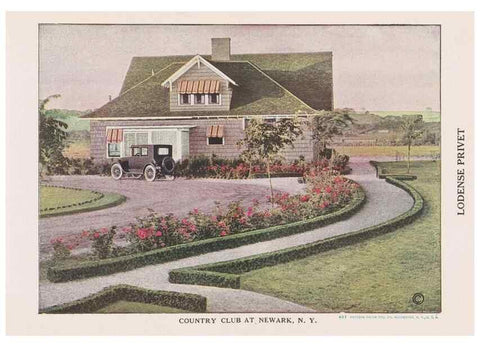Reproducción/Reproduction 49831507622: Descriptive plate-book. Newark, N.Y. :Knight & Bostwick,[19--]. 