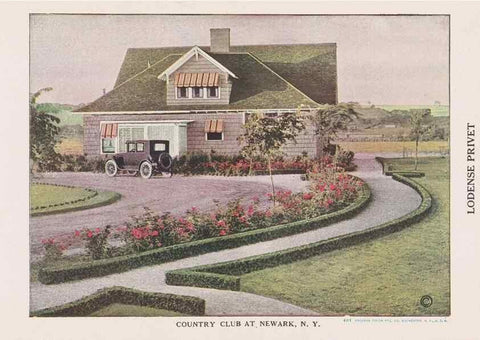 Reproducción/Reproduction 49831507622: Descriptive plate-book. Newark, N.Y. :Knight & Bostwick,[19--]. 