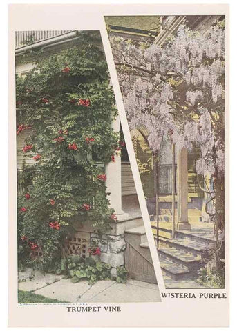 Reproducción/Reproduction 49831184806: Descriptive plate-book. Newark, N.Y. :Knight & Bostwick,[19--]. 