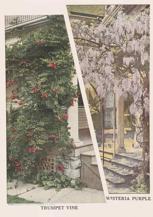 Reproducción/Reproduction 49831184806: Descriptive plate-book. Newark, N.Y. :Knight & Bostwick,[19--]. 