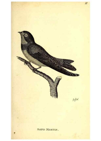 Reproducción/Reproduction 49830645426: General zoology, or Systematic natural history. London,Printed for G. Kearsley,1800-1826.. 