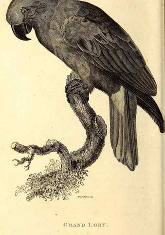Reproducción/Reproduction 49830499917: General zoology, or Systematic natural history. London,Printed for G. Kearsley,1800-1826.. 