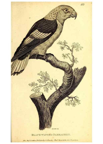 Reproducción/Reproduction 49830193601: General zoology, or Systematic natural history. London,Printed for G. Kearsley,1800-1826.. 