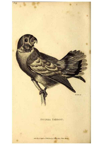 Reproducción/Reproduction 49830193886: General zoology, or Systematic natural history. London,Printed for G. Kearsley,1800-1826.. 