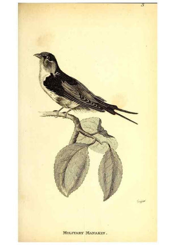 Reproducción/Reproduction 49830643296: General zoology, or Systematic natural history. London,Printed for G. Kearsley,1800-1826.. 