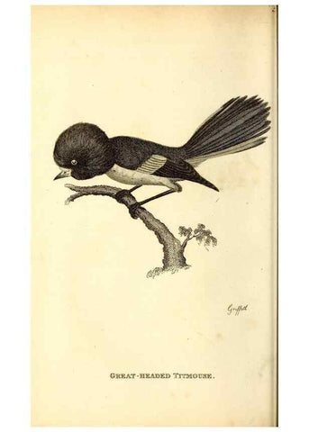 Reproducción/Reproduction 49830643711: General zoology, or Systematic natural history. London,Printed for G. Kearsley,1800-1826.. 