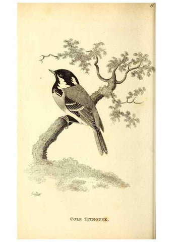 Reproducción/Reproduction 49830953477: General zoology, or Systematic natural history. London,Printed for G. Kearsley,1800-1826.. 