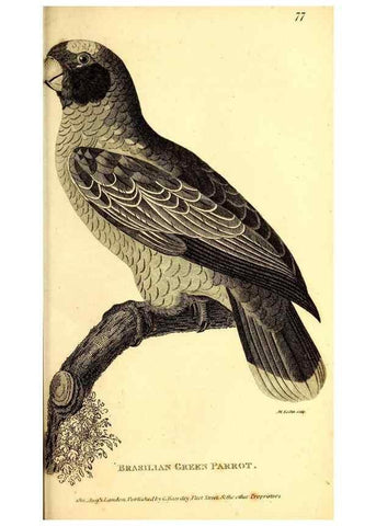 Reproducción/Reproduction 49829659953: General zoology, or Systematic natural history. London,Printed for G. Kearsley,1800-1826.. 