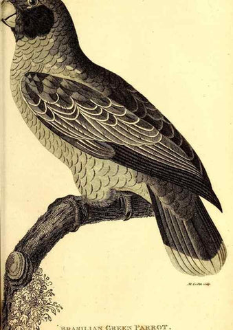 Reproducción/Reproduction 49829659953: General zoology, or Systematic natural history. London,Printed for G. Kearsley,1800-1826.. 