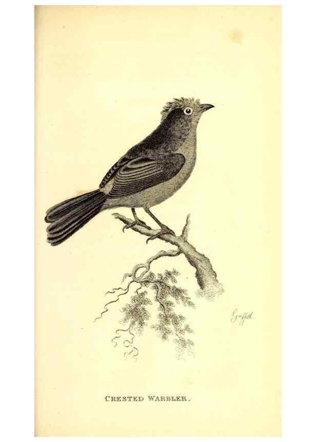 Reproducción/Reproduction 49830126793: General zoology, or Systematic natural history. London,Printed for G. Kearsley,1800-1826.. 