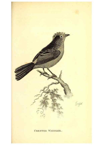 Reproducción/Reproduction 49830126793: General zoology, or Systematic natural history. London,Printed for G. Kearsley,1800-1826.. 