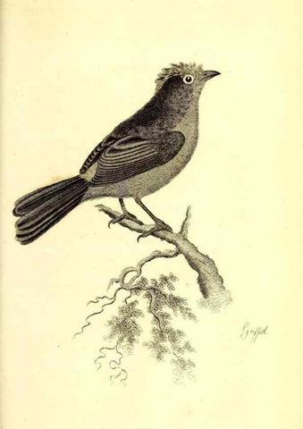 Reproducción/Reproduction 49830126793: General zoology, or Systematic natural history. London,Printed for G. Kearsley,1800-1826.. 