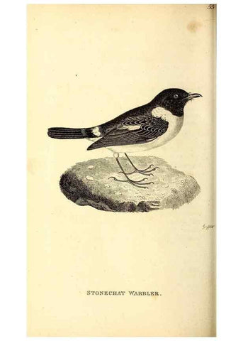 Reproducción/Reproduction 49830127323: General zoology, or Systematic natural history. London,Printed for G. Kearsley,1800-1826.. 