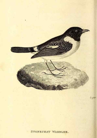 Reproducción/Reproduction 49830127323: General zoology, or Systematic natural history. London,Printed for G. Kearsley,1800-1826.. 