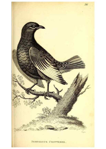 Reproducción/Reproduction 49830122218: General zoology, or Systematic natural history. London,Printed for G. Kearsley,1800-1826.. 