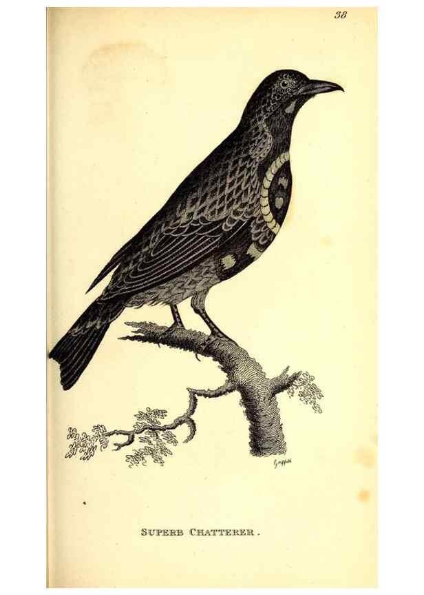 Reproducción/Reproduction 49830964122: General zoology, or Systematic natural history. London,Printed for G. Kearsley,1800-1826.. 