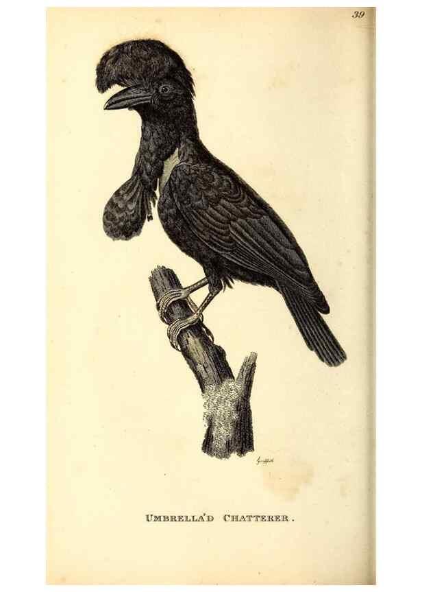 Reproducción/Reproduction 49830655046: General zoology, or Systematic natural history. London,Printed for G. Kearsley,1800-1826.. 